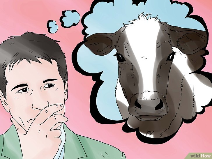 Como Calcular el Consumo de MS de una Vaca
