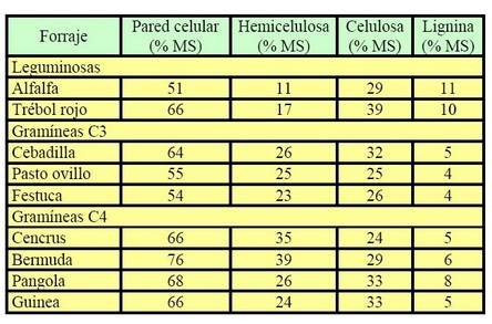 Contenido de celulosa, hemicelulosa y lignina en la pared celular de diferetes Gramíeas y leguminosas