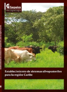 Establecimiento de sistemas silvopastoriles para la región Caribe
