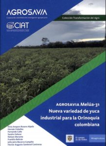 AGROSAVIA Melúa-31 Nueva variedad de yuca
