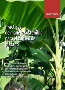 Prácticas de manejo sostenible para el cultivo de plátano
