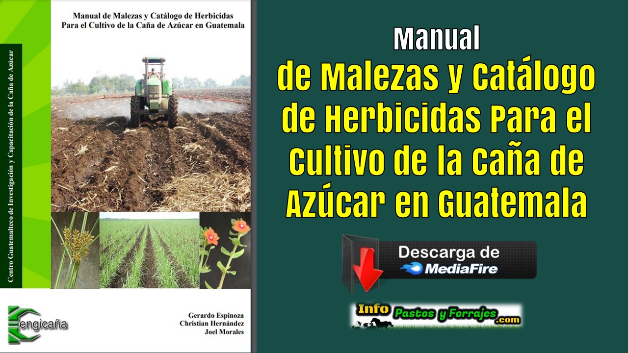 Manual de Malezas y Catálogo de Herbicidas Para el Cultivo de la Caña de Azúcar en Guatemala